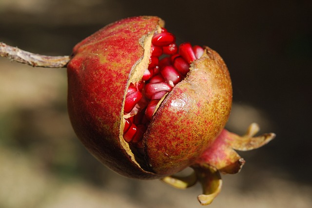 **Superfoods dla skóry atopowej: Które składniki ukoją swędzenie i zredukują zaczerwienienia?**