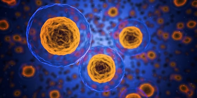 Czynniki genetyczne a dieta anti-aging: Jak nasze DNA wpływa na proces starzenia?