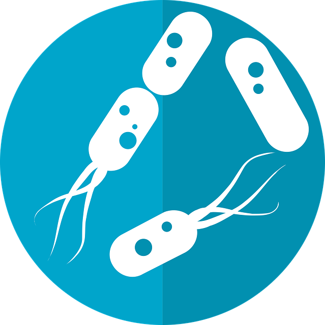 **Mikrobiom jelitowy a oś mózgowo-jelitowa w stresie: Czy personalizowana dieta prebiotyczna i probiotyczna może poprawić odporność psychiczną?**